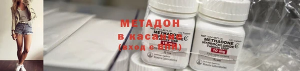 индика Алексин