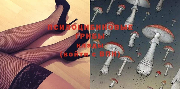 мяу мяу мука Алзамай