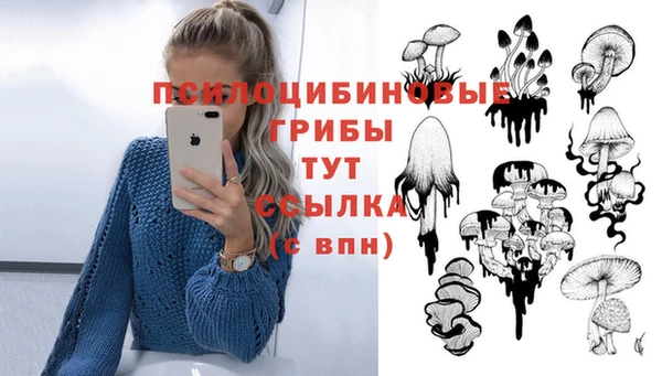 мескалин Алексеевка