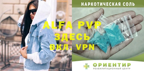 индика Алексин