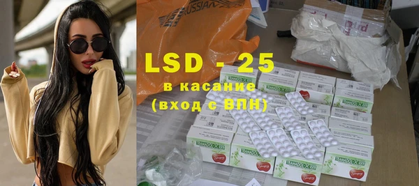 индика Алексин